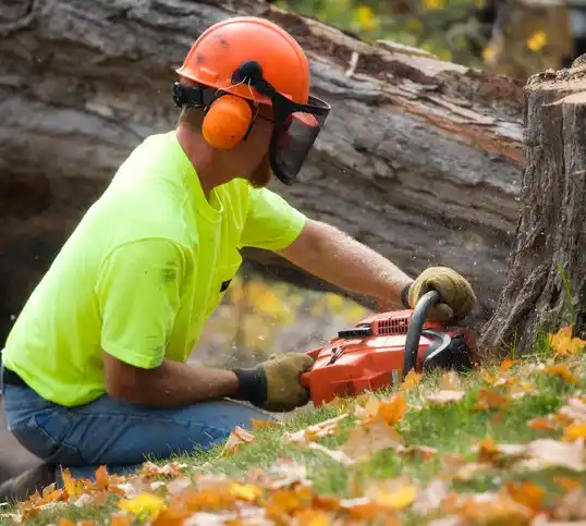 tree services Kelso